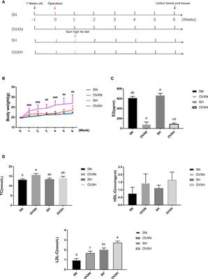 Ovariectomy Impaired Hepatic Glucose and Lipid Homeostasis and Altered the Gut Microbiota in Mice With Different Diets